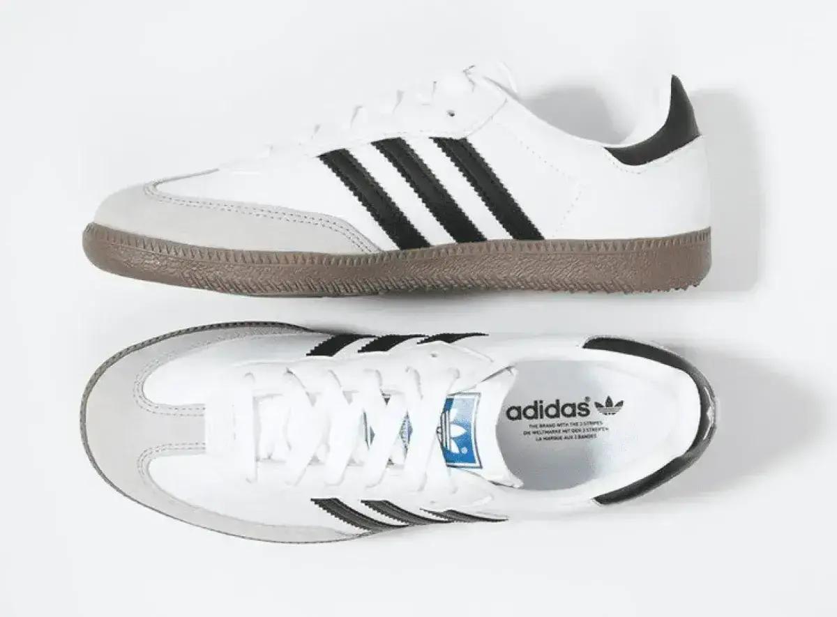 Adidas Samba