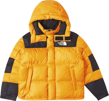 Зимняя куртка 
NORTH FACE Urban 
Exploration
